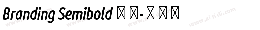 Branding Semibold 半粗字体转换